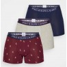POLO RALPH LAUREN 3 bóxer briefs