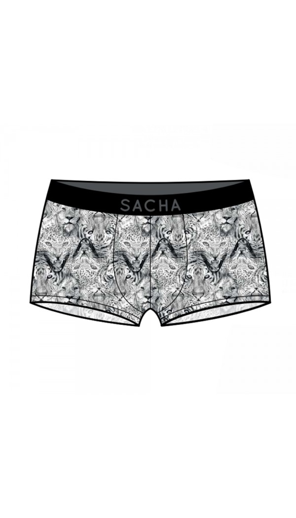 SACHA bóxer divertidos